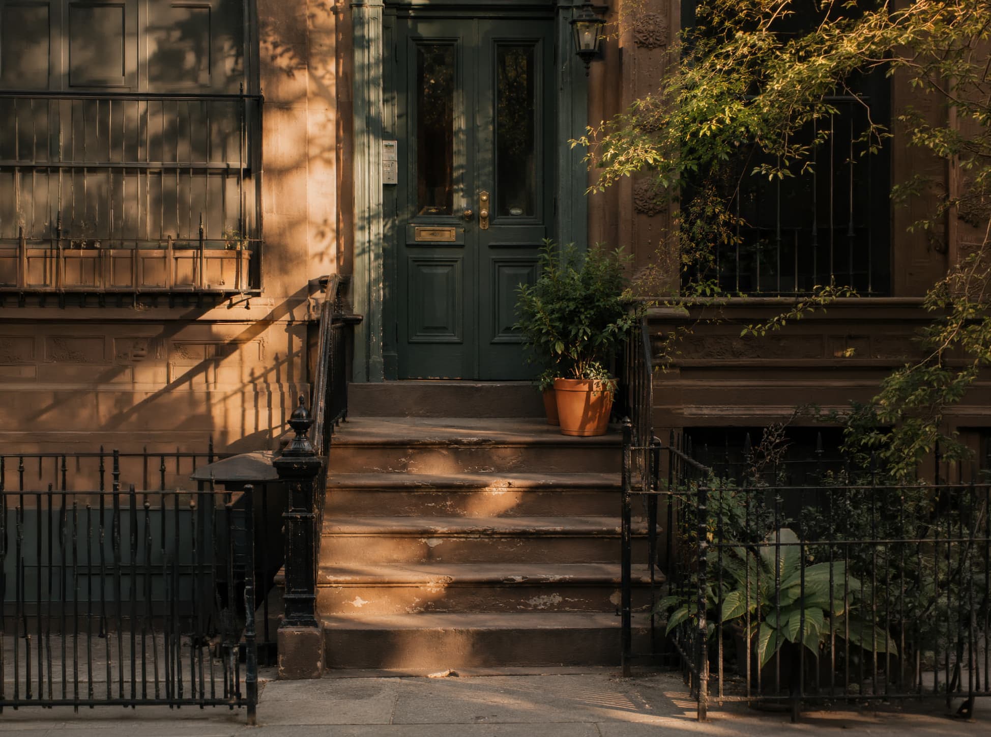 Late afternoon light on the front stoop of a brownstone, a potted shrub by the door